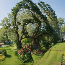 Load image into Gallery viewer, Jesus-Full Round Diamond Painting-35x35cm