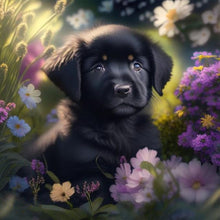 Load image into Gallery viewer, Flowers Black And White Puppy-Full Round Diamond Painting-30x30cm