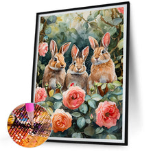 Load image into Gallery viewer, Peter Rabbit-Full Square Diamond Painting-30x40cm