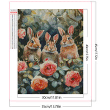 Load image into Gallery viewer, Peter Rabbit-Full Square Diamond Painting-30x40cm