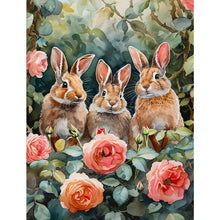 Load image into Gallery viewer, Peter Rabbit-Full Square Diamond Painting-30x40cm