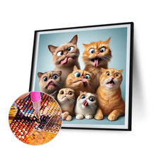 Load image into Gallery viewer, Funny Cat-Full Round Diamond Painting-40x40cm