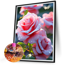 Load image into Gallery viewer, Pink Rose-Full Round Diamond Painting-30x40cm