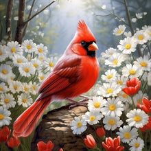 Load image into Gallery viewer, Cardinal-Full Round Diamond Painting-30x30cm