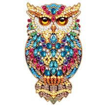 Load image into Gallery viewer, Cat Owl-Diamond Bottle Opener
