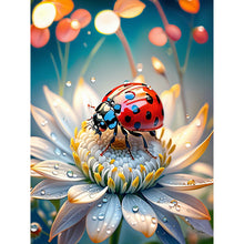 Load image into Gallery viewer, Cat Butterfly-Full Round Diamond Painting-30x40cm