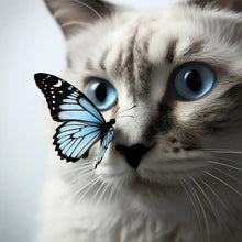 Load image into Gallery viewer, Playing Butterfly Cat-Full Round Diamond Painting-30x30cm