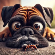 Load image into Gallery viewer, Dog-Full Round Diamond Painting-30x30cm