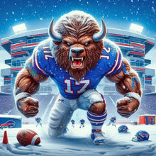 Load image into Gallery viewer, NFL-Full Round Diamond Painting-40x40cm