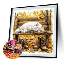 Load image into Gallery viewer, Cat-Full Round Diamond Painting-40x40cm