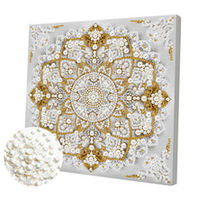 Load image into Gallery viewer, Elegant Girl-Partial Pearl Painting Kit with Frame-25x25cm