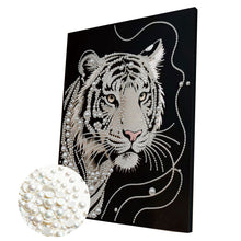 Load image into Gallery viewer, Starry Sky-Partial Pearl Painting Kit with Frame-30x40cm