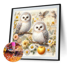 Load image into Gallery viewer, Owls-Full Round Diamond Painting-40x40cm