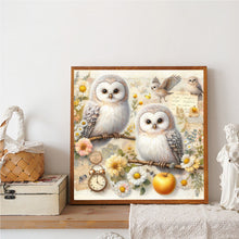 Load image into Gallery viewer, Owls-Full Round Diamond Painting-40x40cm