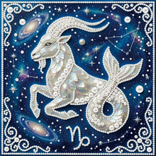 Load image into Gallery viewer, Pisces-Partial Pearl Painting Kit with Frame-25x25cm