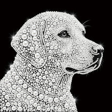 Load image into Gallery viewer, Golden Retriever-Partial Pearl Painting Kit with Frame-25x25cm