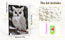 Load image into Gallery viewer, Pearl Owl-Partial Special Diamond Painting-30x40cm