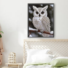 Load image into Gallery viewer, Pearl Owl-Partial Special Diamond Painting-30x40cm