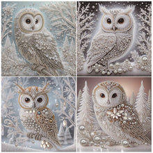 Load image into Gallery viewer, Owl-Partial Special Diamond Painting-30x30cm