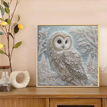 Load image into Gallery viewer, Owl-Partial Special Diamond Painting-30x30cm
