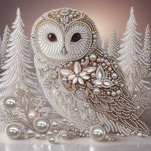 Load image into Gallery viewer, Owl-Partial Special Diamond Painting-30x30cm
