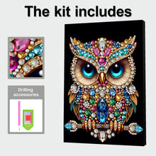 Load image into Gallery viewer, Owl-Partial Pearl Painting Kit with Frame-30x40cm