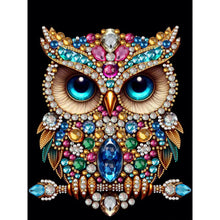 Load image into Gallery viewer, Owl-Partial Pearl Painting Kit with Frame-30x40cm