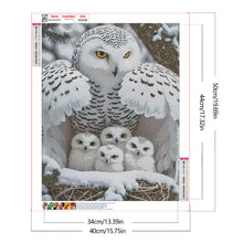 Load image into Gallery viewer, Cat-Full Round Diamond Painting-40x50cm