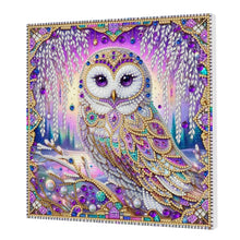 Load image into Gallery viewer, Owl-Partial Pearl Painting Kit with Frame-25x25cm