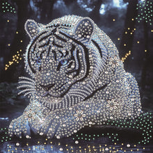 Load image into Gallery viewer, Tiger-Partial Special Diamond Painting-30x30cm
