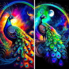 Load image into Gallery viewer, Colorful Peacock-Full Round Diamond Painting-30x40cm