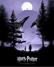 Load image into Gallery viewer, Harry potter -Diamond Painting- 40*50