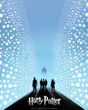 Load image into Gallery viewer, Harry potter -Diamond Painting- 40*50