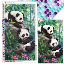 Load image into Gallery viewer, Panda-Full Round Diamond Painting-40x70cm-Large Size