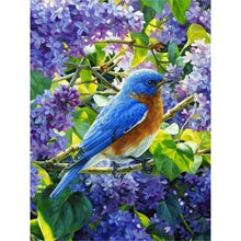Load image into Gallery viewer, Bird-Full Round Diamond Painting-30x40cm