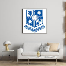 Load image into Gallery viewer, NFL-Full Round Diamond Painting-40x40cm