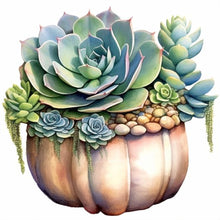 Load image into Gallery viewer, Succulent Plants-Full Round Diamond Painting-30x30cm