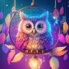 Load image into Gallery viewer, Owl-Full Round Diamond Painting-30x30cm