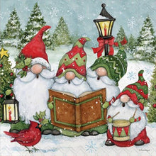 Load image into Gallery viewer, Gnome-Full Round Diamond Painting-30x30cm