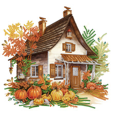 Load image into Gallery viewer, Pumpkin Hut-Partial Special Diamond Painting-30x30cm