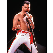 Load image into Gallery viewer, Singer-Full Round Diamond Painting-30x40cm