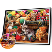 Load image into Gallery viewer, Cat-Full Square Diamond Painting-50x40cm
