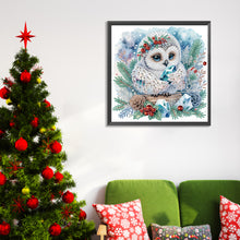 Load image into Gallery viewer, Owl-Partial Special Diamond Painting-30x30cm