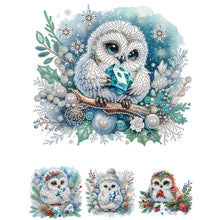 Load image into Gallery viewer, Owl-Partial Special Diamond Painting-30x30cm
