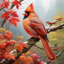 Load image into Gallery viewer, Cardinal-Full Round Diamond Painting-30x30cm