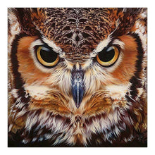 Load image into Gallery viewer, Owl - Full Drill Diamond Painting