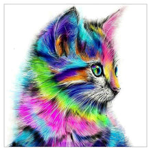 Load image into Gallery viewer, Colorful cat - Full Drill Diamond Painting