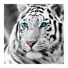 Load image into Gallery viewer, Tiger - Full Drill Diamond Painting
