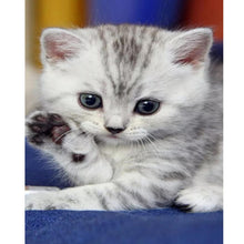 Load image into Gallery viewer, Cat - Full Drill Diamond Painting