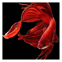 Load image into Gallery viewer, Goldfish - Full Drill Diamond Painting